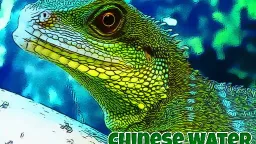 Dragon image